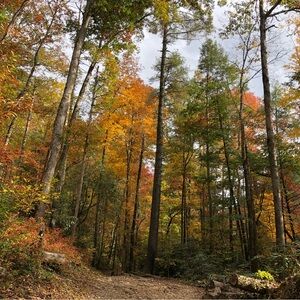 Meet your Posher, Jeff